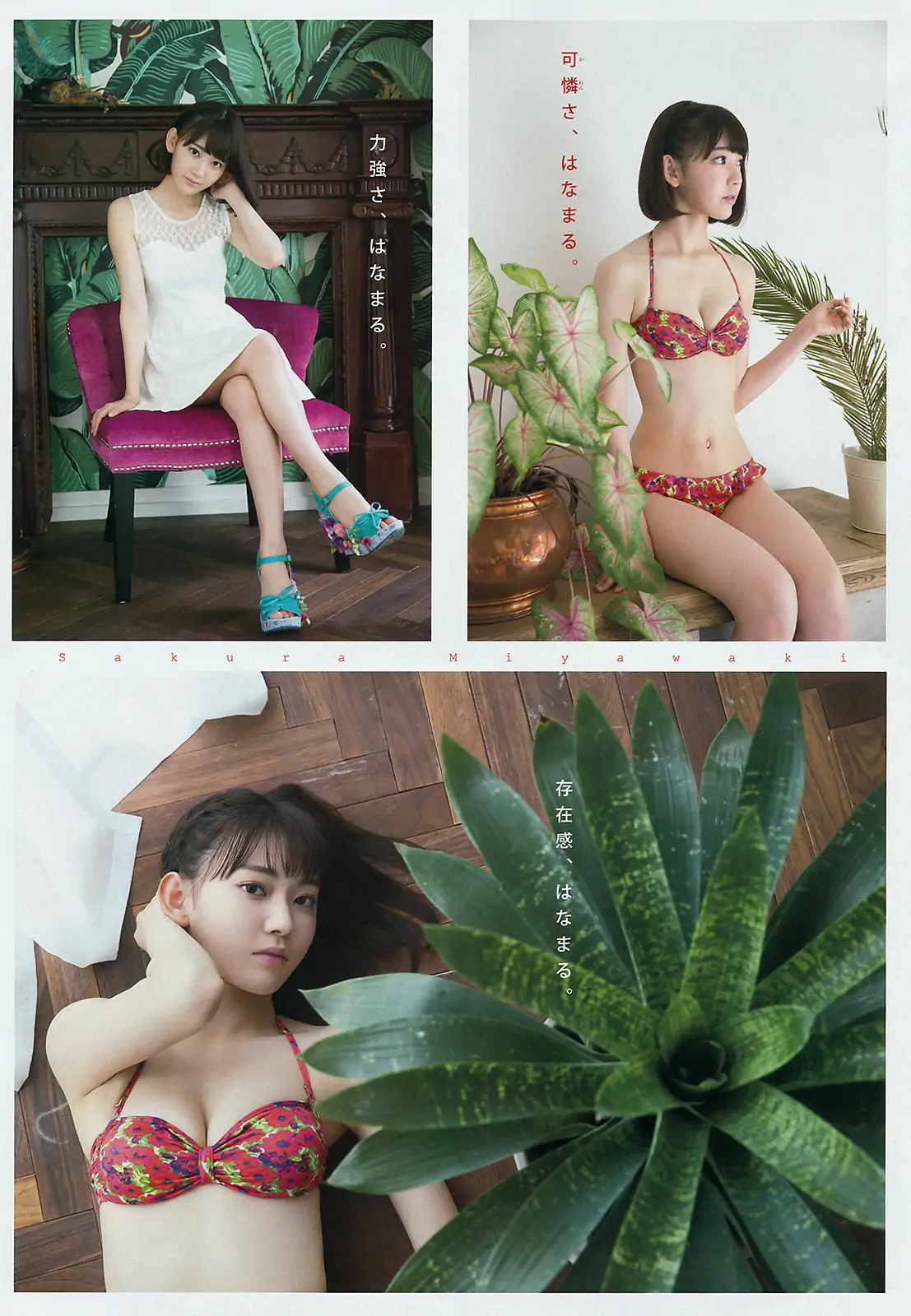 图片[4]-【性感写真】[Young Magazine] 2016年No.41 宮脇咲良 大澤玲美(13P)-美图-云享社·资源