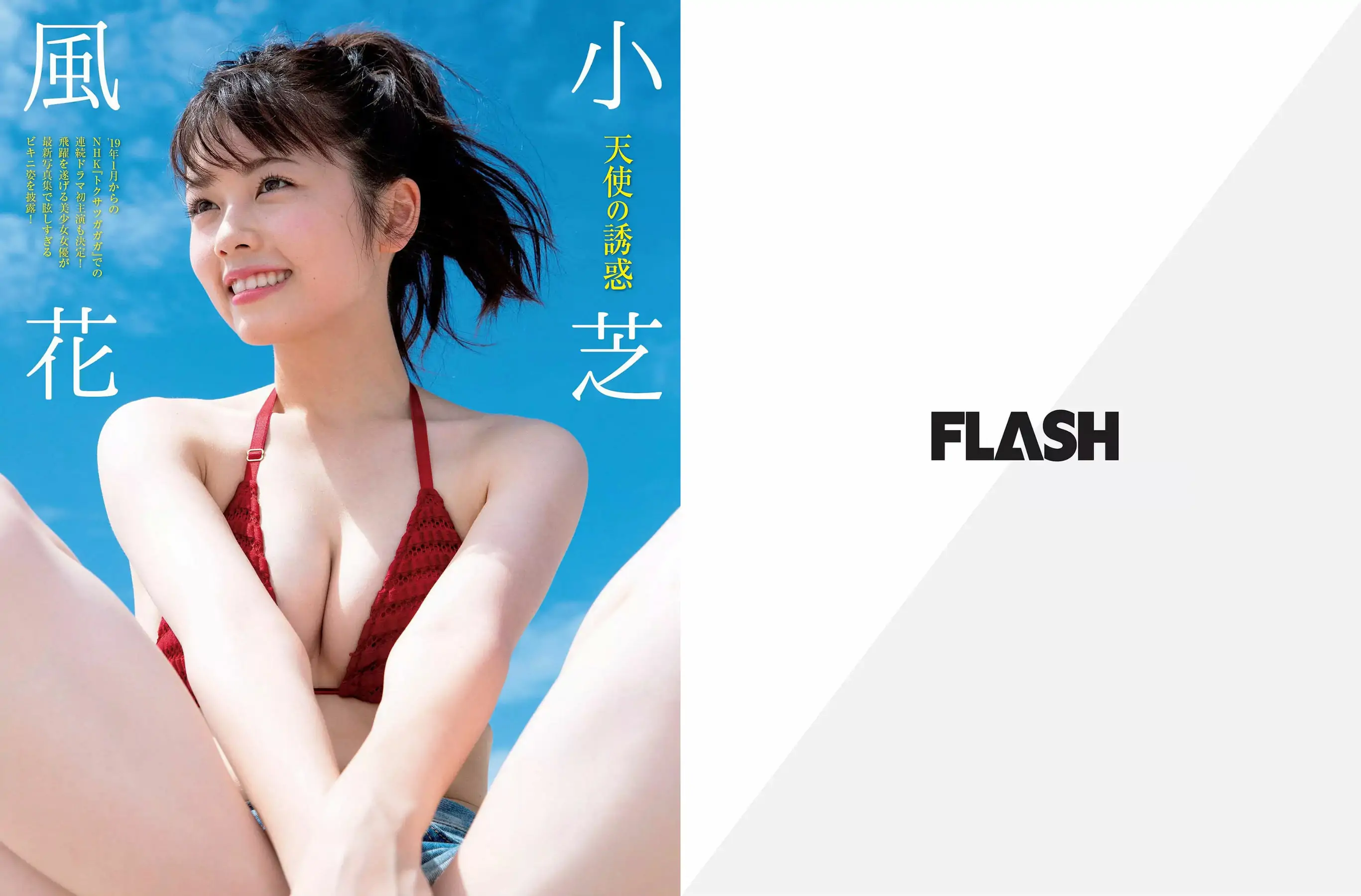 图片[2]-【性感写真】[FLASH] 2019.01.01 筧美和子 小芝風花 中丸シオン(22P)-美图-云享社·资源