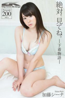 [4K-STAR] NO.00211 加藤シーナ Lingerie 睡衣 内衣(200P)