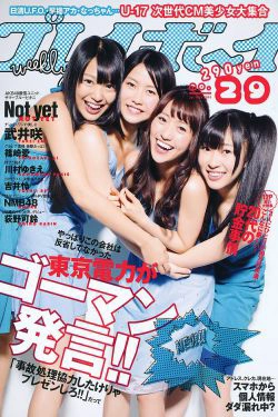 AKB48 武井咲 荻野可鈴 川村ゆきえ 篠崎愛 吉井怜 [Weekly Playboy] 2011年No.29 写真杂志(38P)