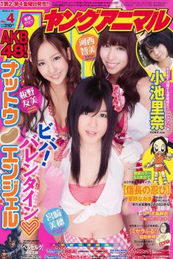 河西智美 板野友美 宮崎美穂 小池里奈 [Young Animal] 2010年No.04 写真杂志(17P)