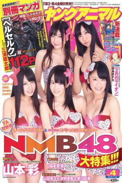 NMB48 山本彩 福本爱菜 [Young Animal] 2012年No.04 写真杂志(23P)