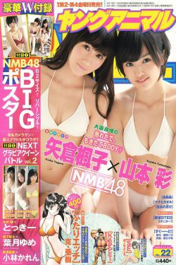 山本彩 矢倉楓子 とっきー 小林かれん 葉月ゆめ [Young Animal] 2013年No.22 写真杂志(32P)