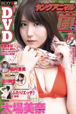 大場美奈 稲村亜美 涼川絢音 [Young Animal Arashi 岚特刊] No.02 2016年 写真杂志(19P)