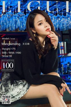 Model 王艾萌《酒吧吧台女神》 [丽柜Ligui](101P)