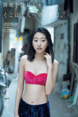 武田玲奈 越南写真(16P)
