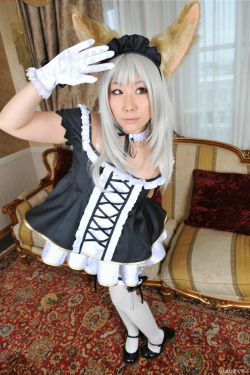 丹雫ひよ (Nishizuku Hiyo) 《T.E.R.A》Elin  [HiyoHiyo Club](95P)
