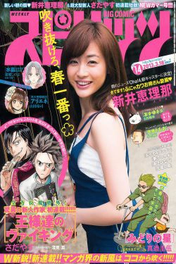 [Weekly Big Comic Spirits] 2013年No.14 新井恵理那(8P)