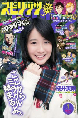 [Weekly Big Comic Spirits] 2014年No.01 桜井美南 大原櫻子(10P)