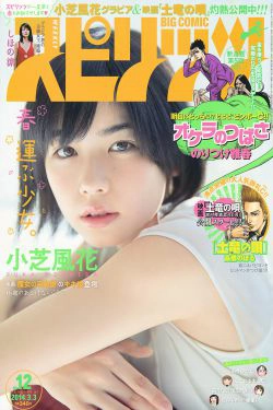 [Weekly Big Comic Spirits] 2014年No.12 小芝風花 しほの涼(7P)