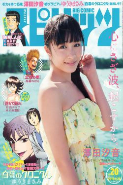 [Weekly Big Comic Spirits] 2014年No.20 澤田汐音(5P)