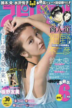 [Weekly Big Comic Spirits] 2014年No.30 板野友美(9P)