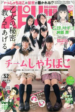 [Weekly Big Comic Spirits] 2014年No.52 チームしゃちほこ(7P)