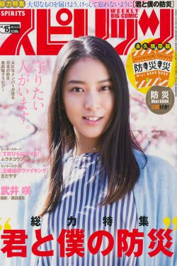 [Weekly Big Comic Spirits] 2017年No.15 武井咲(7P)