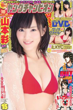 [Young Champion] 2015年No.15 山本彩(16P)