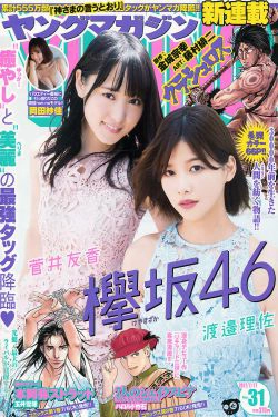 [Young Magazine] 2017年No.31 渡邉理佐 菅井友香 岡田紗佳(12P)
