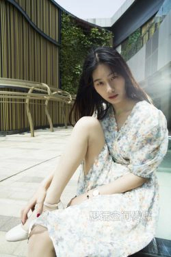 [思话SiHua] SH119 诗韵 印花裙的都市美感(39P)