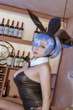 [COS福利] 日奈娇 - 蕾姆兔女郎(11P)