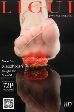 [丽柜Ligui] 网络丽人 Model 小智贤(57P)