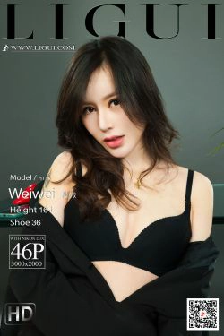 [丽柜Ligui] 网络丽人 Model 微微(46P)