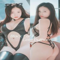 [DJAWA]  PIA - Black Cat & Gold Python(71P)